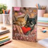 CUADERNO ESPIRAL 100H CATS 1UD (576225)