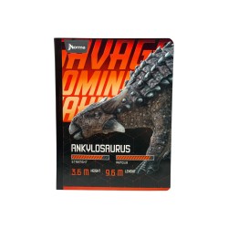 CUADERNO COSIDO 100H SURTIDO MASCULINO 1UD (576244)