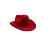 SOMBRERO ADULTO STD COL (HT-2438308-12)