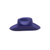 SOMBRERO ADULTO STD COL (HT-2438308-12)