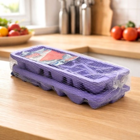 MOLDE HIELO 2PCS(MAX-1612)