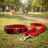 Set Correa Collar Teddy Pet Roja Talla L (8702R-L)