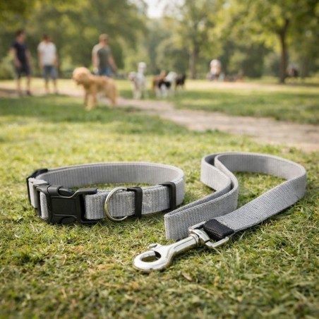 SET CORREA COLLAR TEDDY PET GRIS TALLA L (8702W-L)