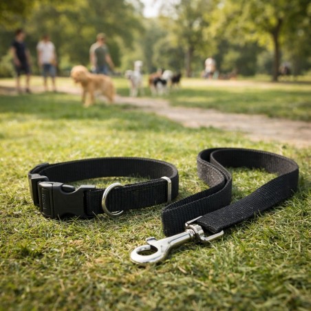 SET CORREA COLLAR TEDDY PET NEGRO TALLA M (8702BK-M)