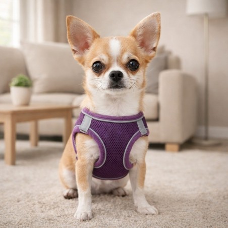 Pechera Mascota Teddy Pet Morada Talla S (8705Pl-S)