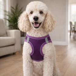 Pechera Mascota Teddy Pet Morada Talla L (8705Pl-L)