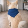 Pañuelo para mascota TEDDY PET talla L | Bandana para perro
