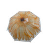 Sombrilla Decorada Yumana(Um-1710616-5)