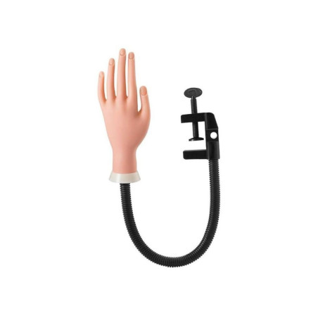 MANO FLEXIBLE PRACTICA EVOK (A019-23AUG02)