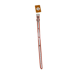 Collar Mascota Huella Teddy Pets  2.0*43Cm(Dc-240306-70)