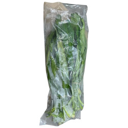 Culantro Coyote 3 Rollos (11524)