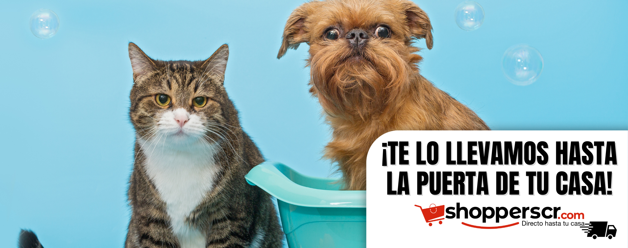 MASCOTAS